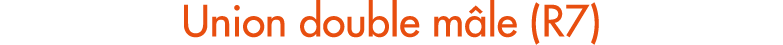 Union double m le (R7)
